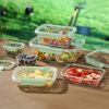 Painted Meadow Rectangle Tritan Food Storage Containers with Tritan Lid. Set of 6