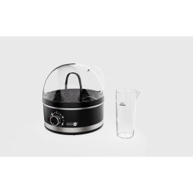 Mini Multifunctional Household Plug-in Steam Boiler (Option: Black-US)